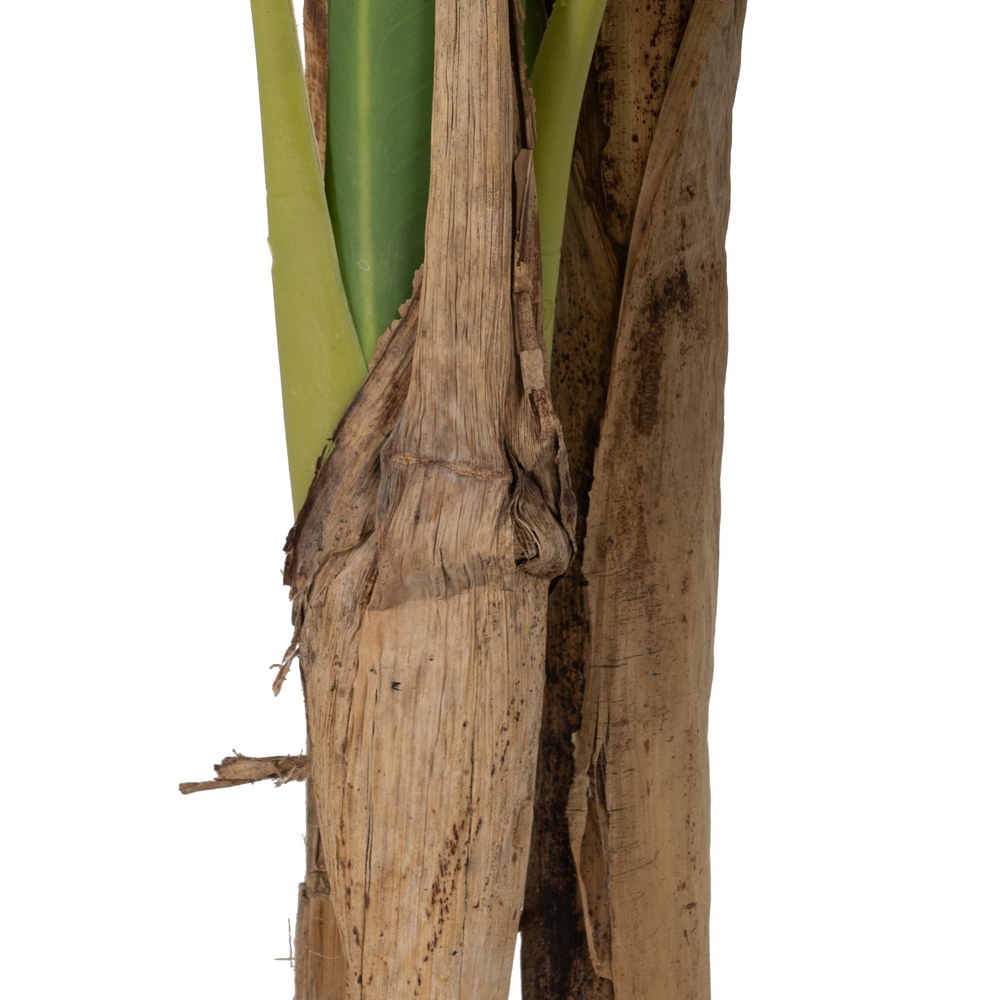 PLANTA PLATANERO VERDE GOMA DECORACIÓN 150 CM - Imagen 4