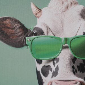 CUADRO IMPRESIÓN VACA DECORACIÓN 50 X 3 X 70 CM