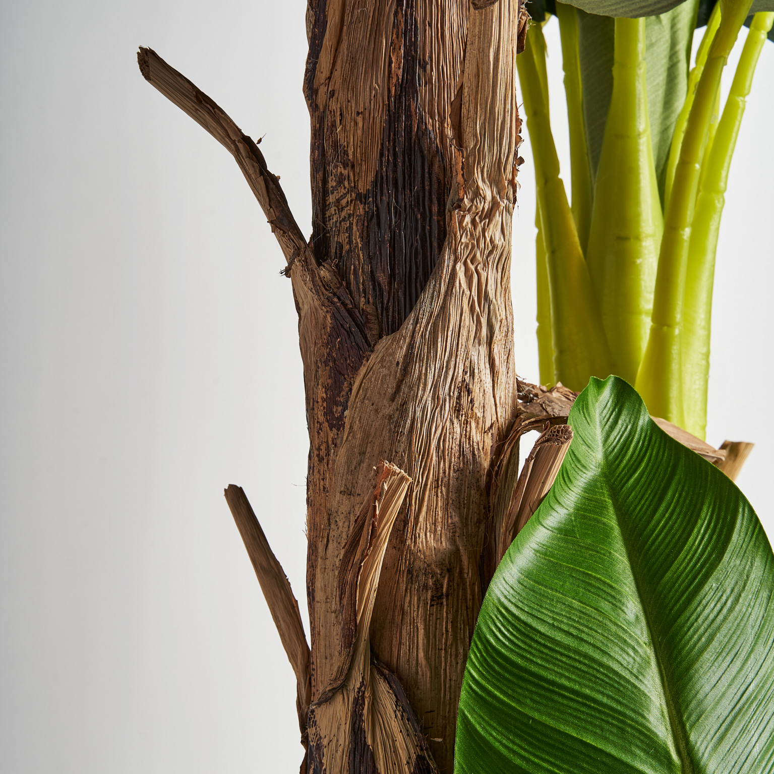 PLANTA PLATANERO - Imagen 4