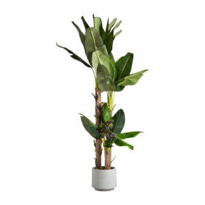 Planta Platanero de estilo colonial fabricado en poliéster en color verde combinado con plástico.