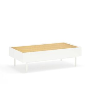 Mesa de centro baja de madera