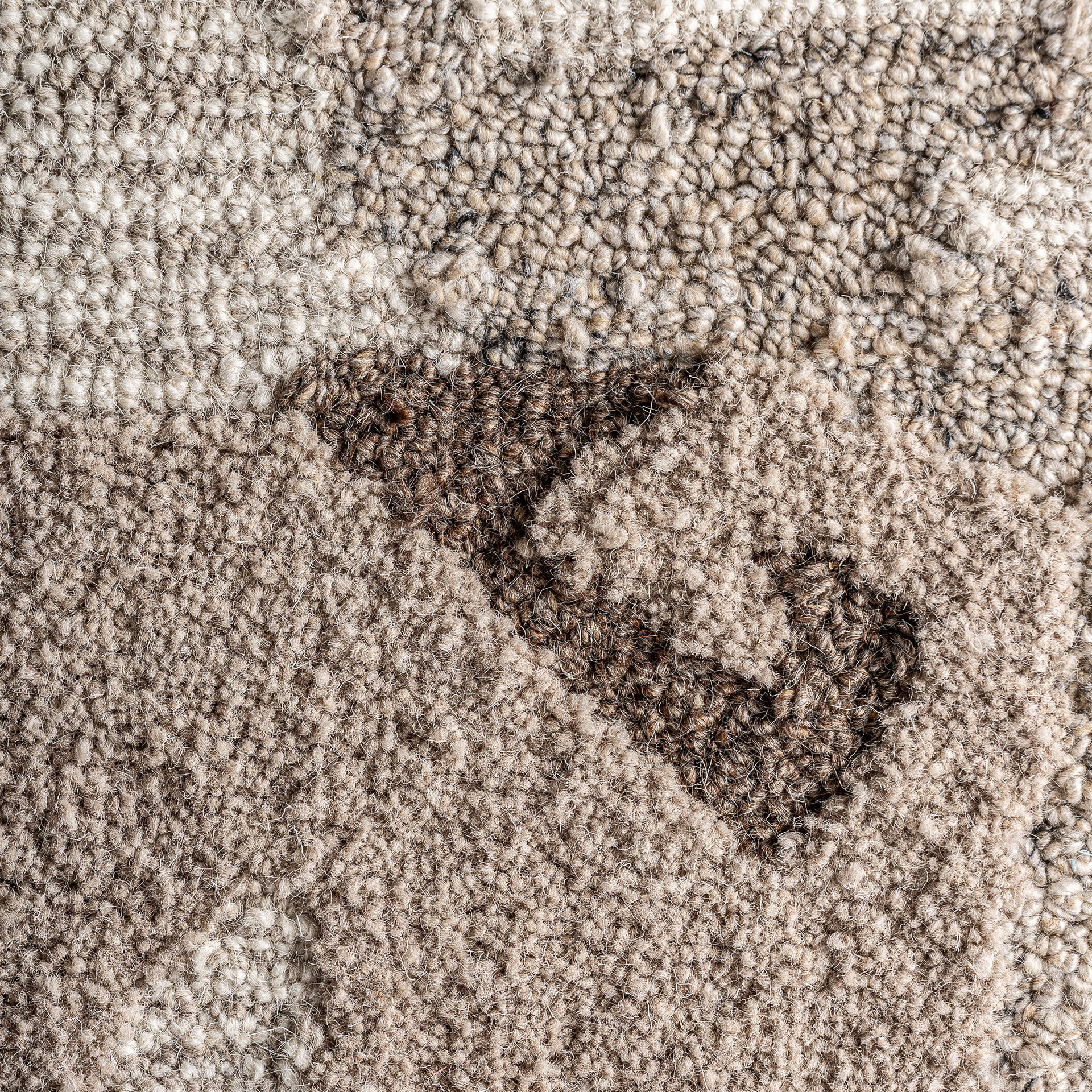 CUADRO IVAR - Imagen 3