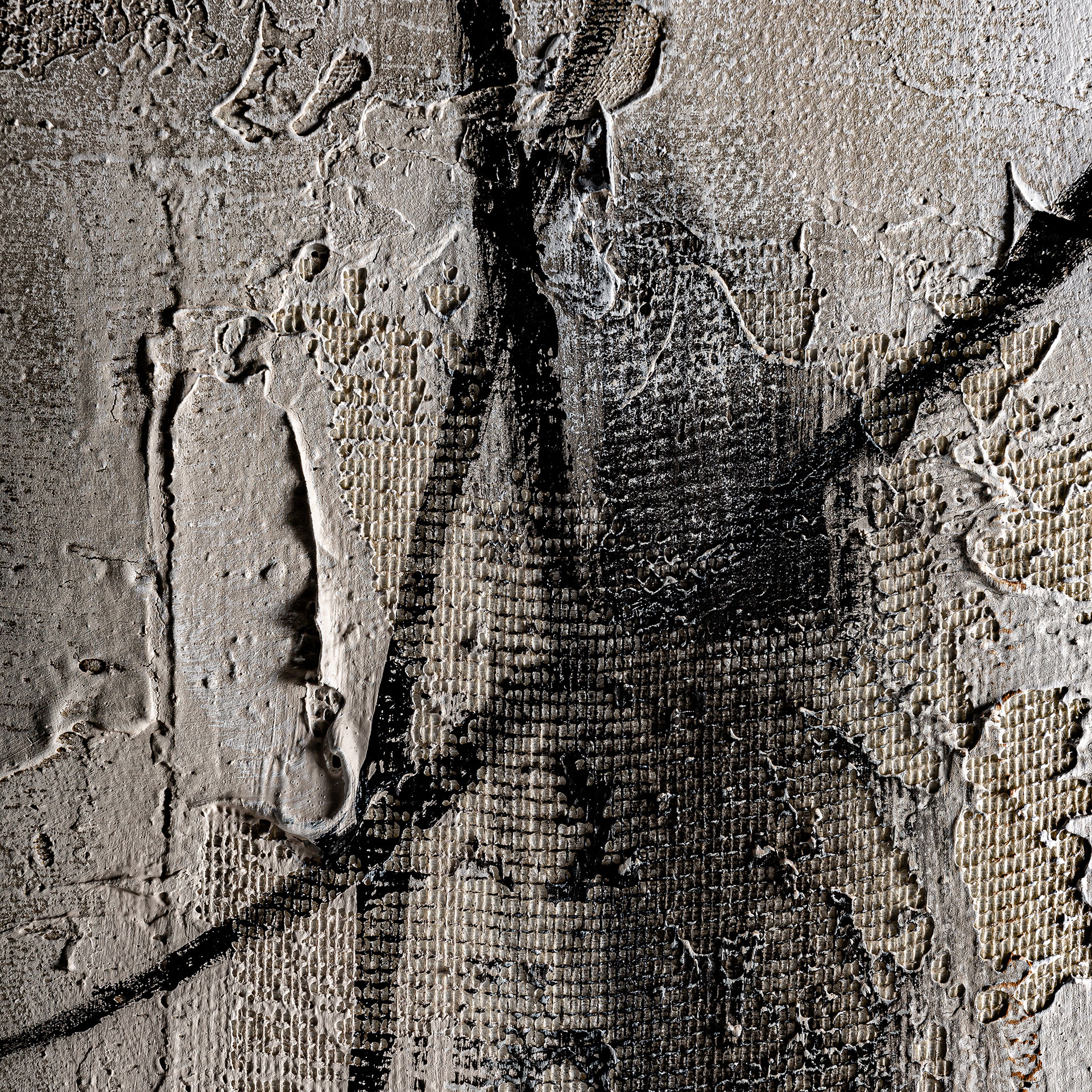 LIENZO ENVER - Imagen 2