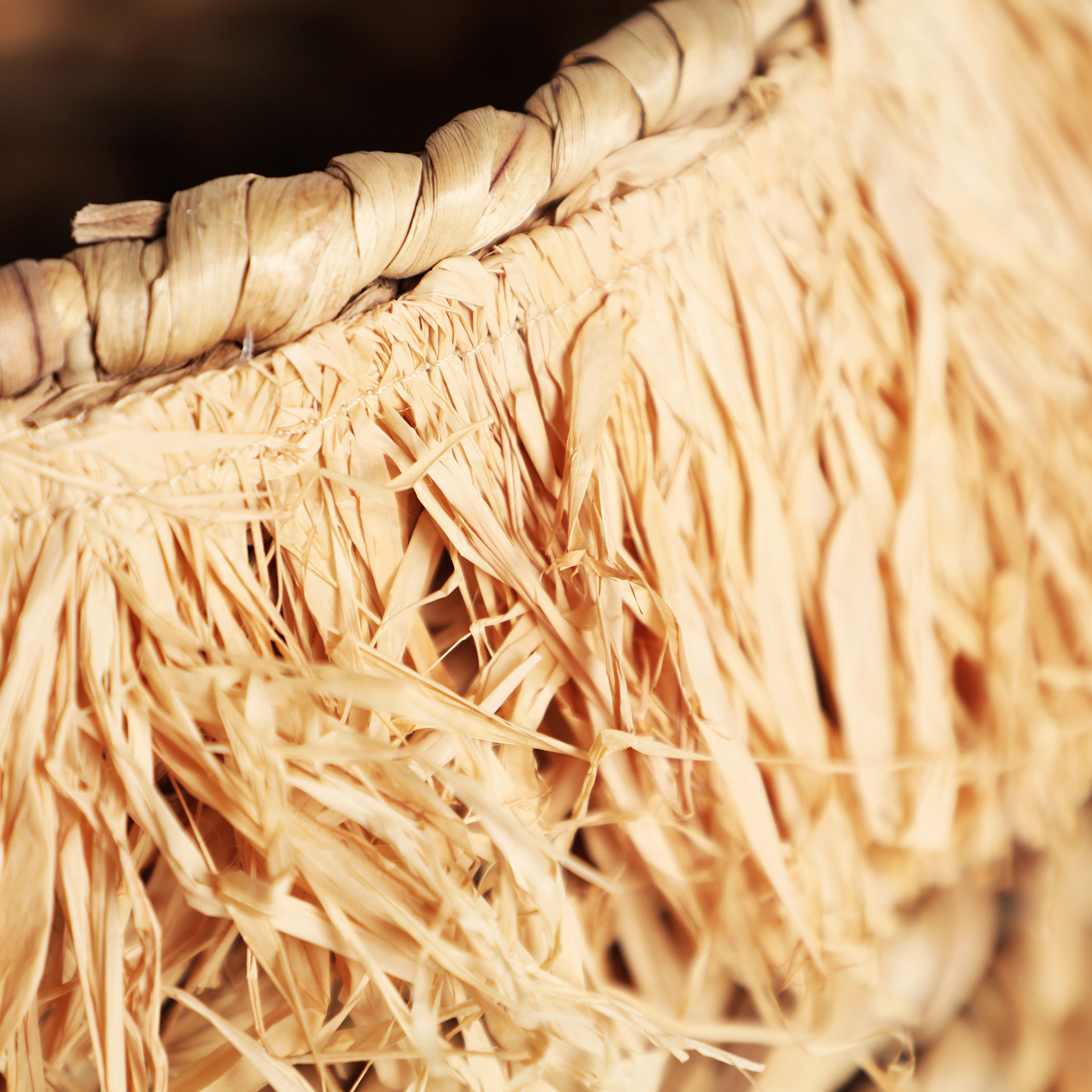 CESTO KASSES J/2 - Imagen 4