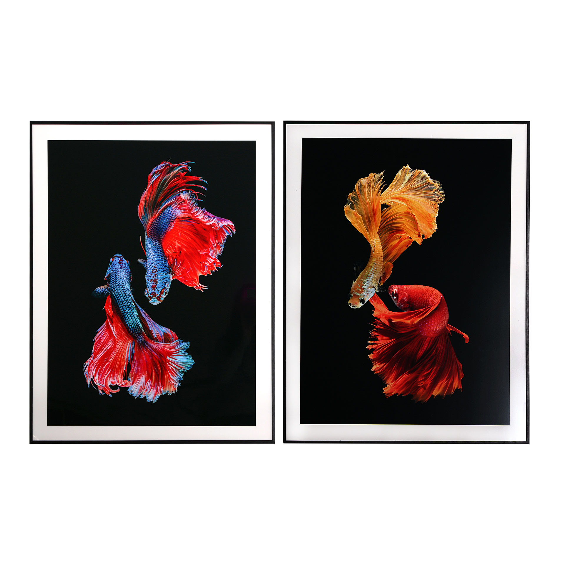 CUADRO ELKA J/2MADERA DM