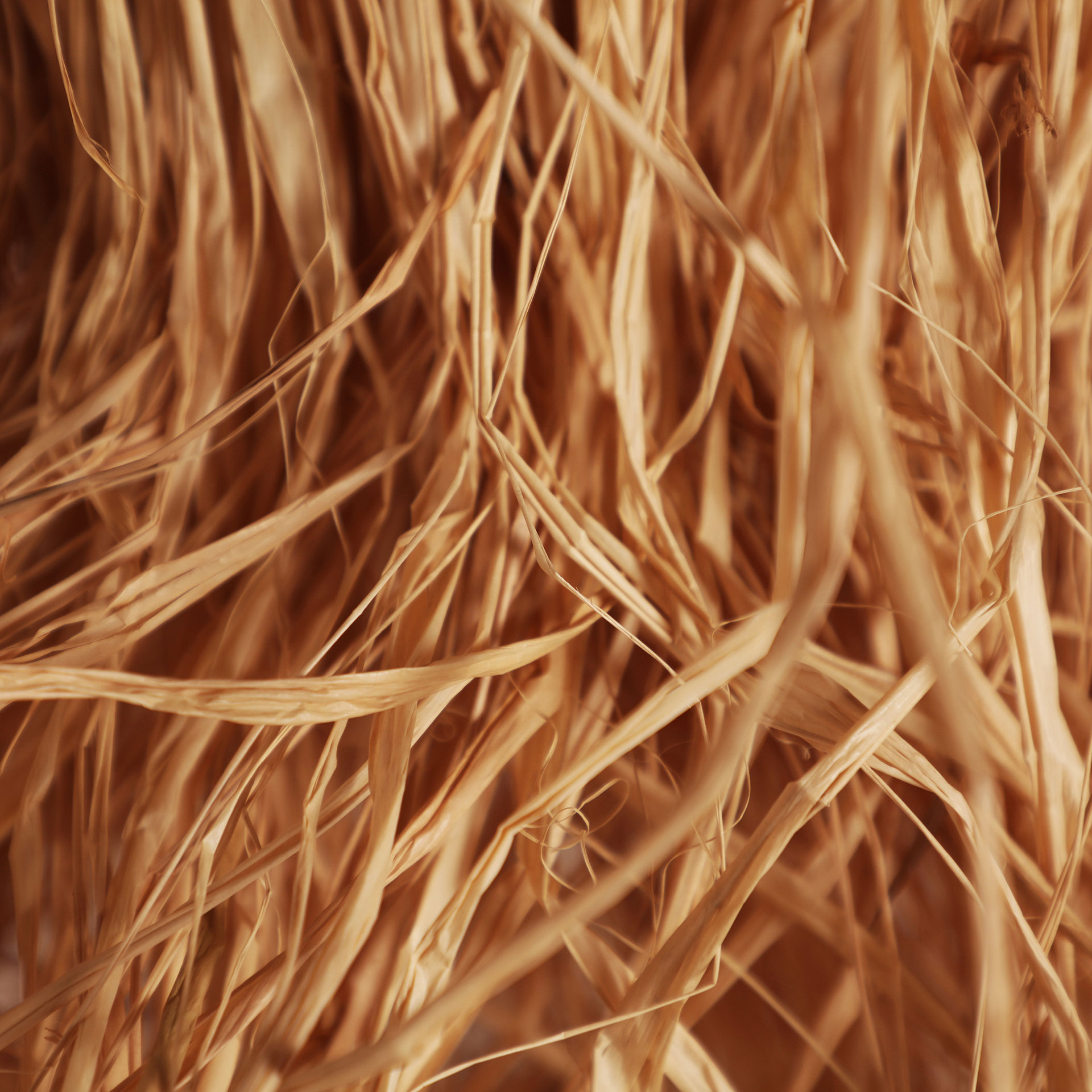 LÁMPARA DE COLGAR KASSES - Imagen 4