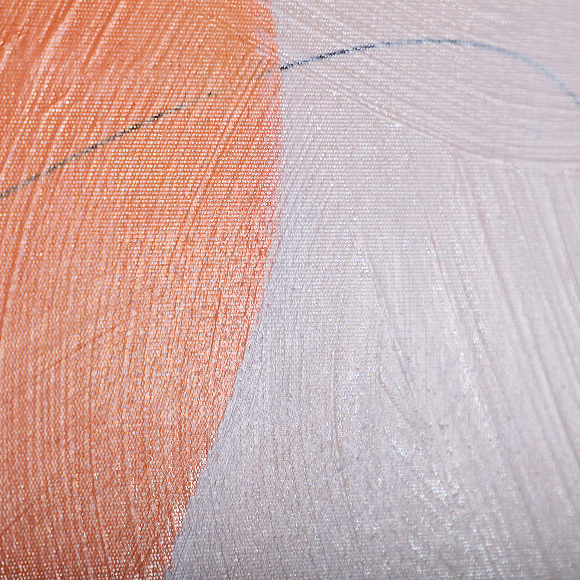 LIENZO JULA J/2 - Imagen 4