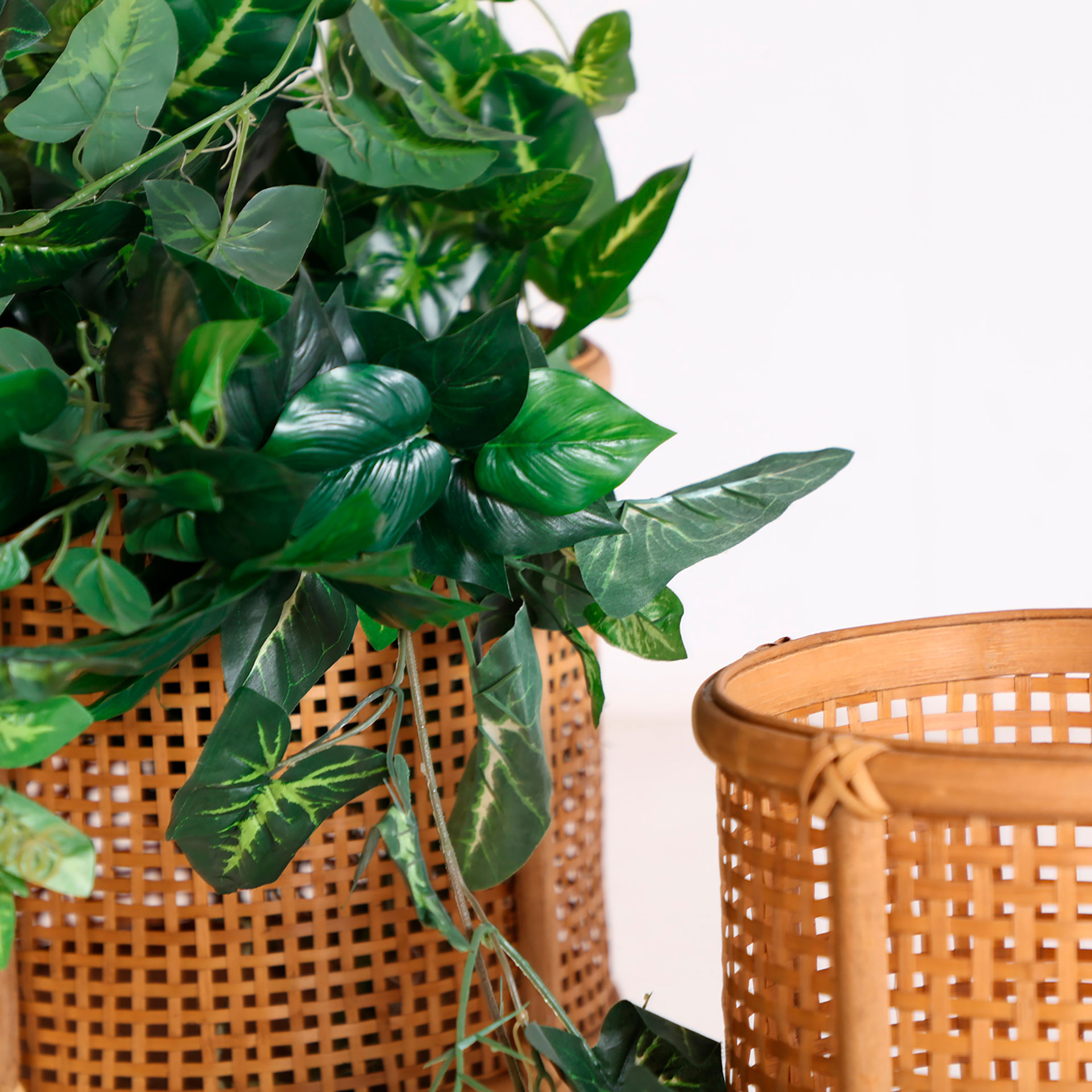 MACETERO ARTEAGA J/2 - Imagen 4