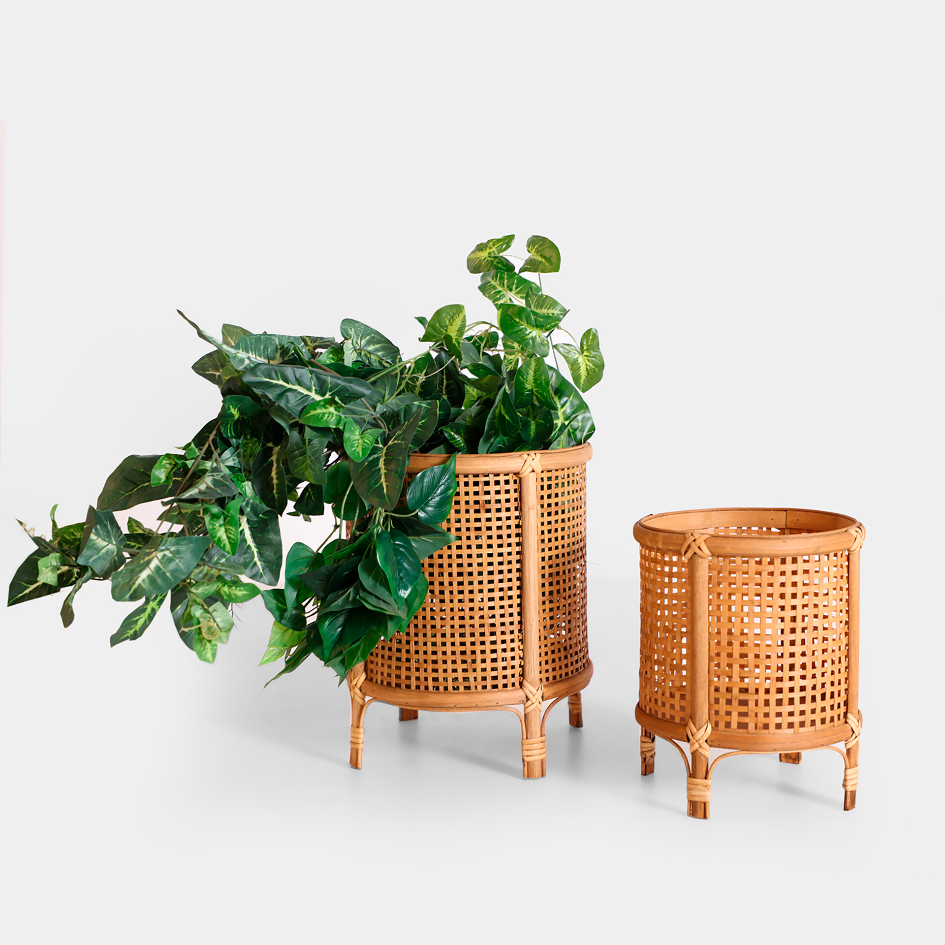 MACETERO ARTEAGA J/2 - Imagen 5