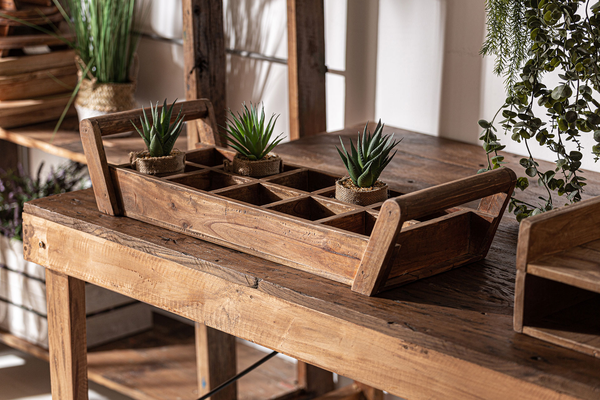 MACETERO BANDEJA AKVIRAN - Imagen 5