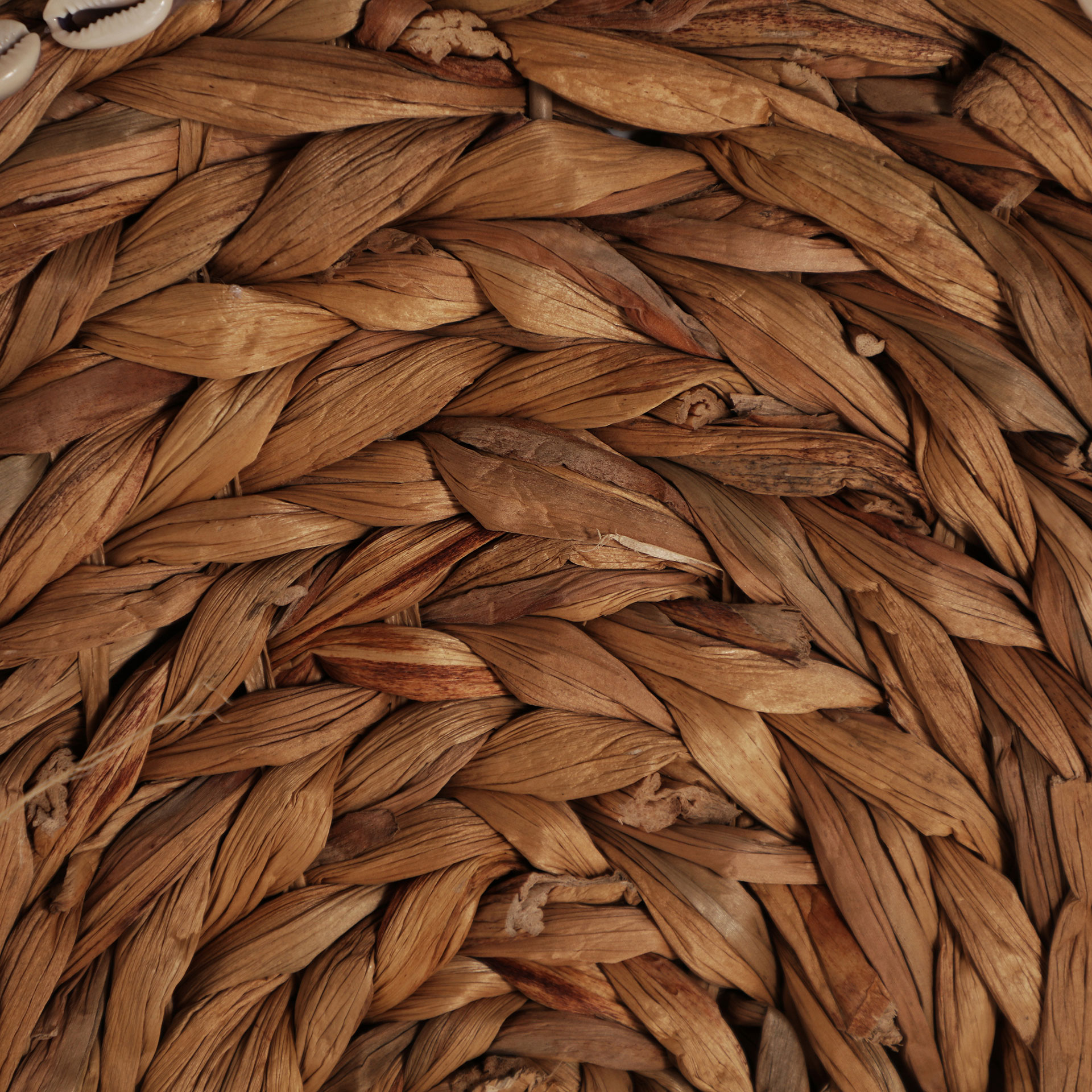 PANEL DECORATIVO KASSES - Imagen 3