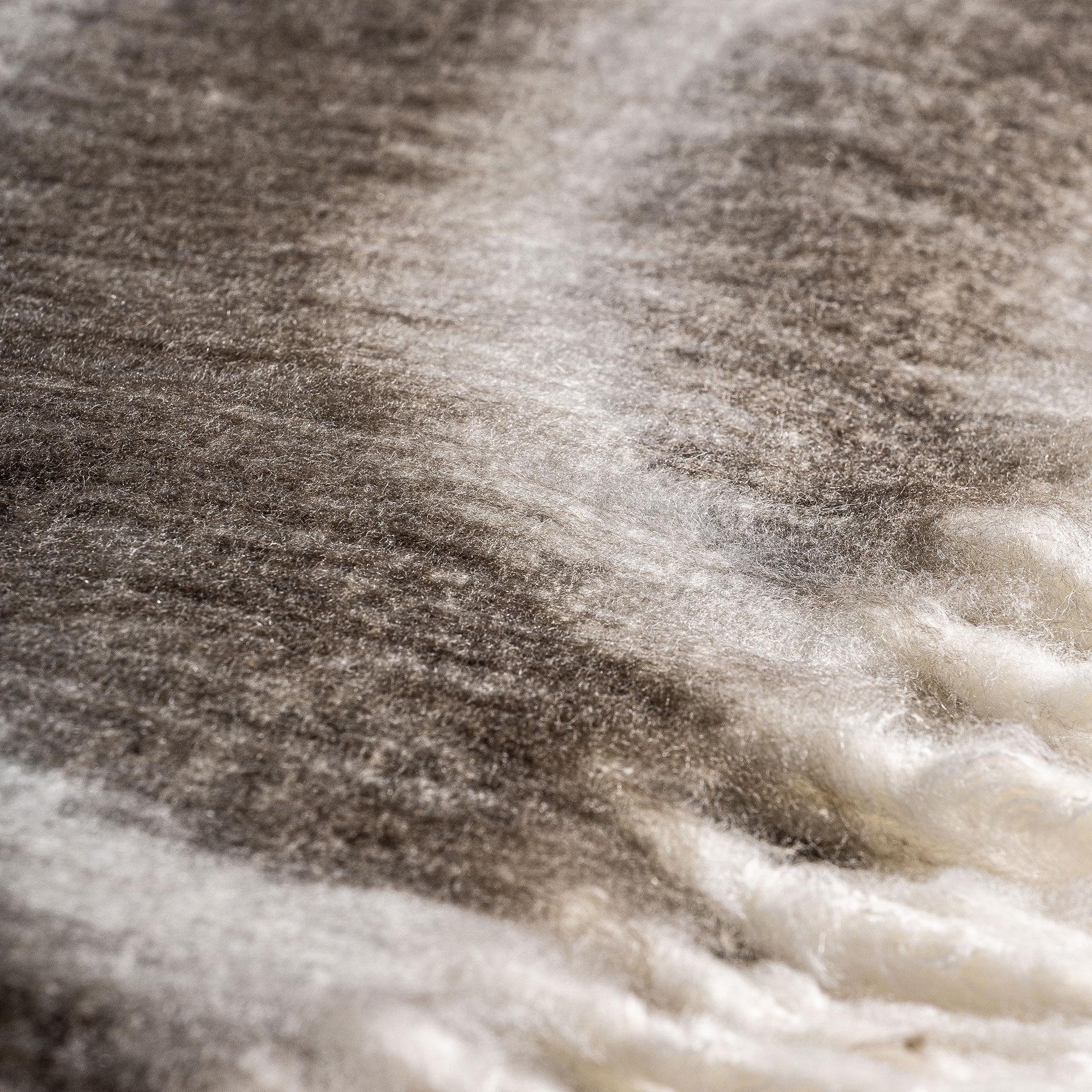 PLAID DUNIA - Imagen 3