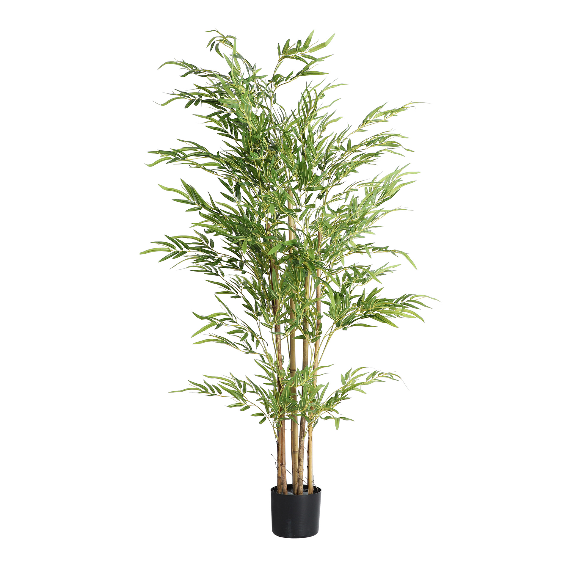 PLANTA BAMBÚPLÁSTICO