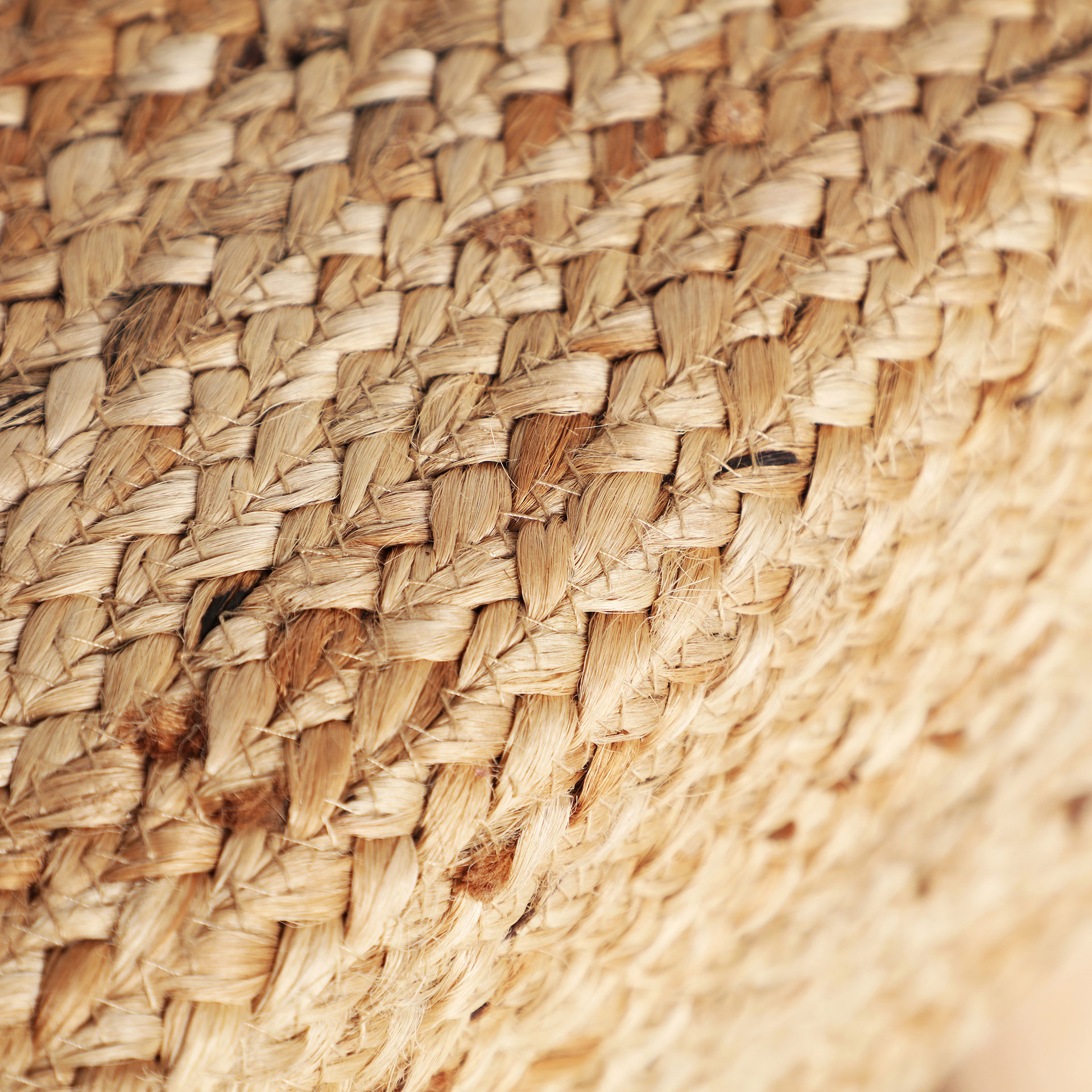 REPOSAPIÉS THIESI - Imagen 3