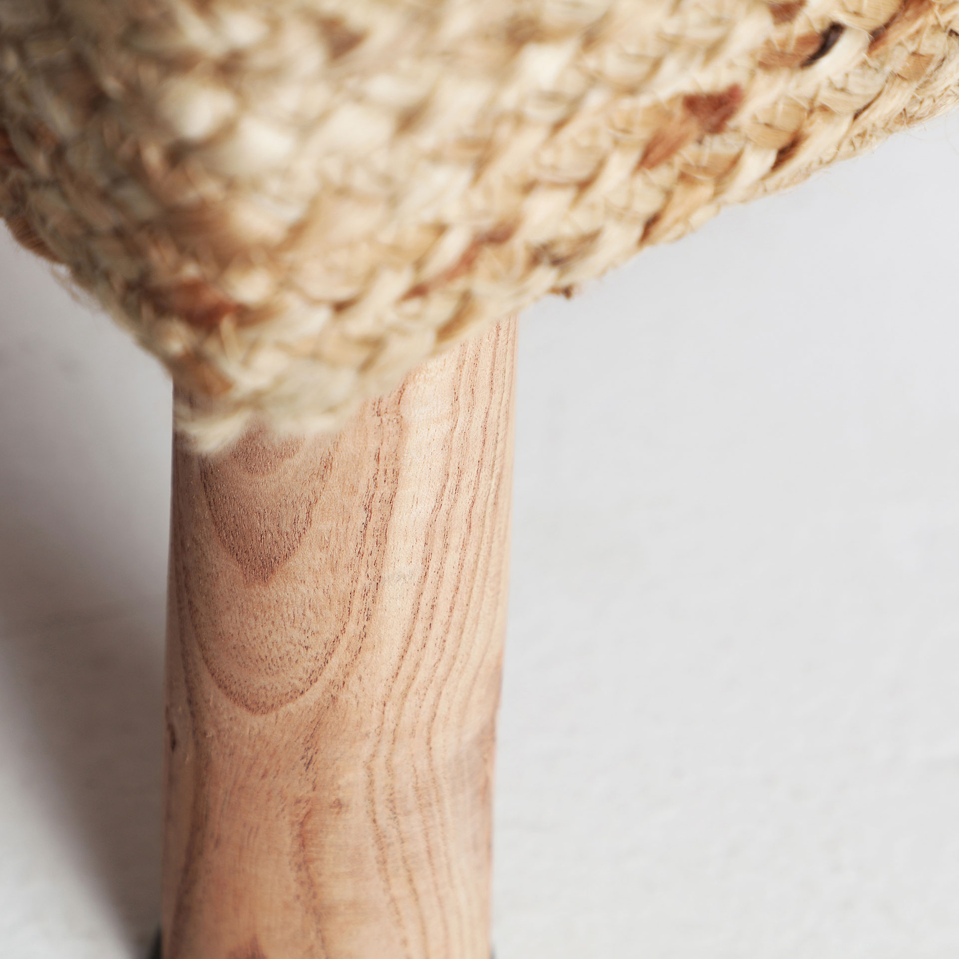 REPOSAPIÉS THIESI - Imagen 5